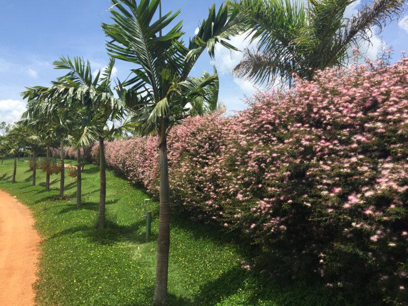 A primavera simboliza o despertar, o recomeço, um novo princípio